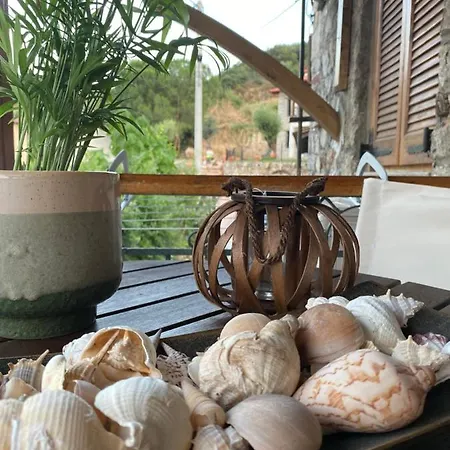 Despina's House 펜션 시키아