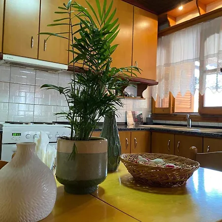 Despina's House Sykia Chalkidikis